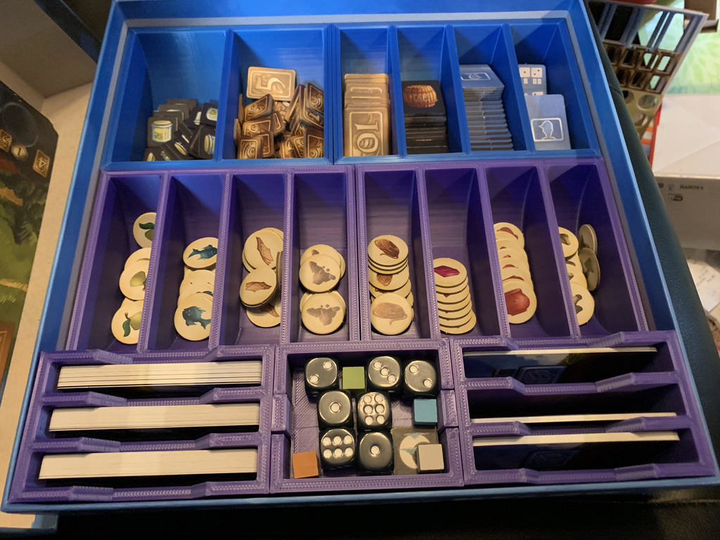 Above and Below Organizer