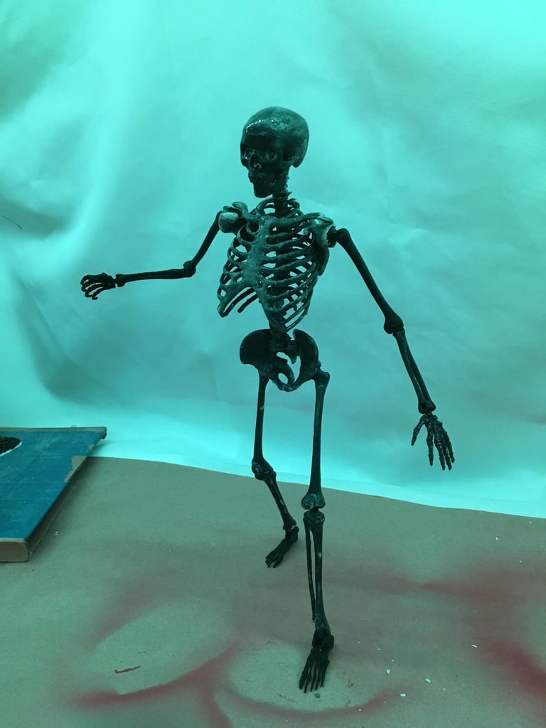 Posable Skeleton - Mr Bones Remix
