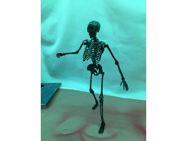 Posable Skeleton Mr Bones Remix
