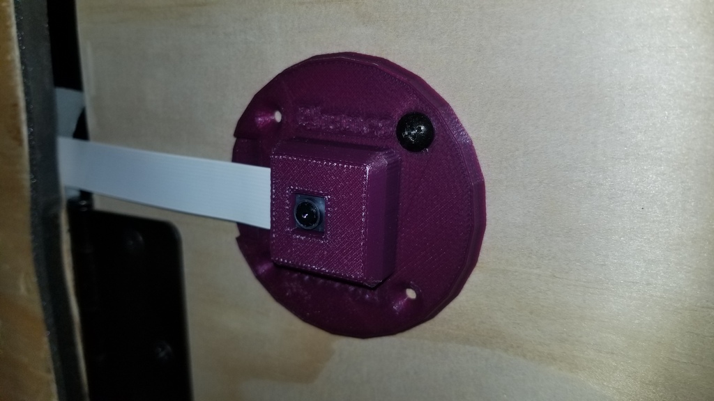 Pi Camera wall mount