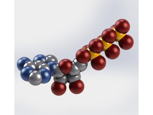ATP Molecule Model