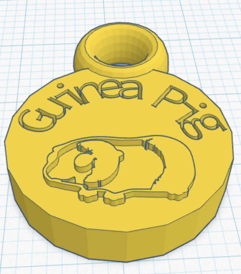 Guinea Pig Charm/Keychain