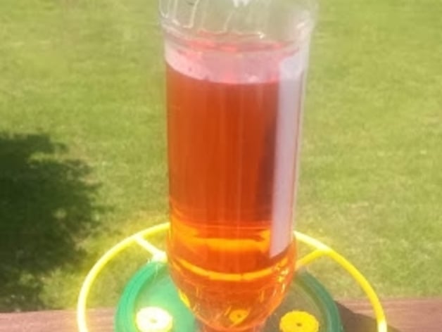 How to Make Beer Bottle Bird Feeder: Easy DIY Guide to Attract Birds