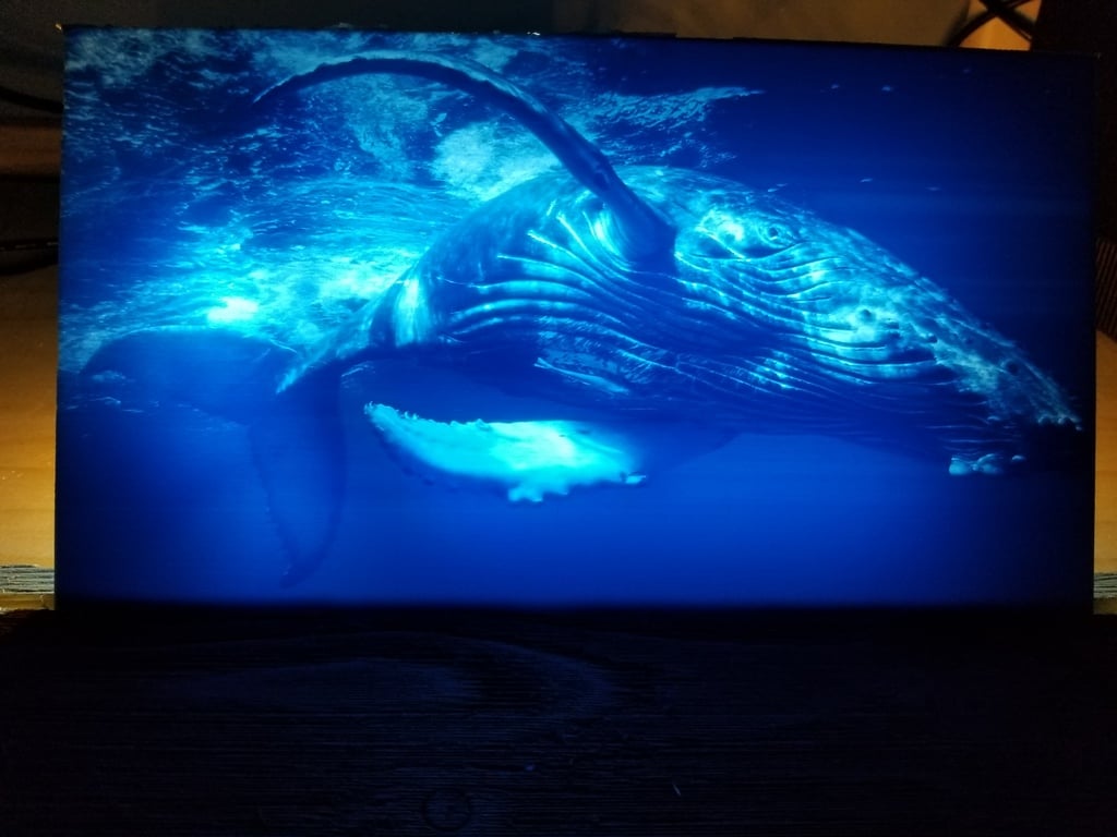 Humpback Whale Lithophane