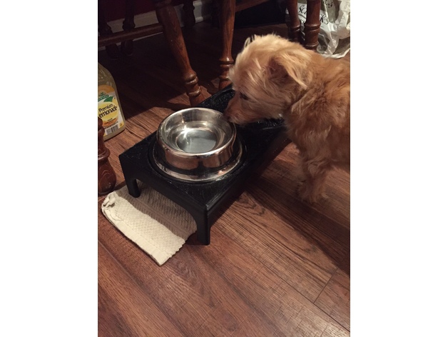 dog bowl platform