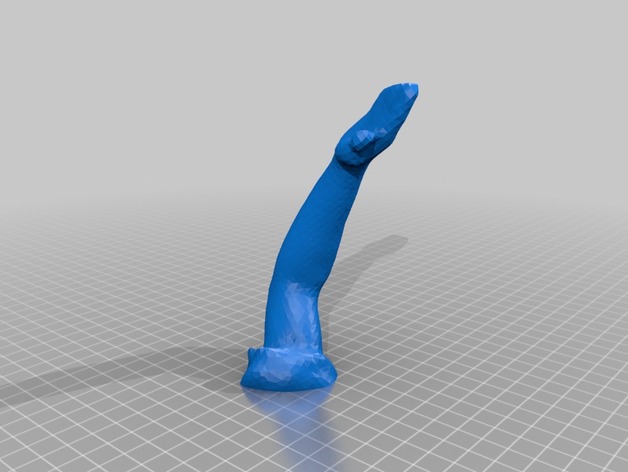 3D scan of arm