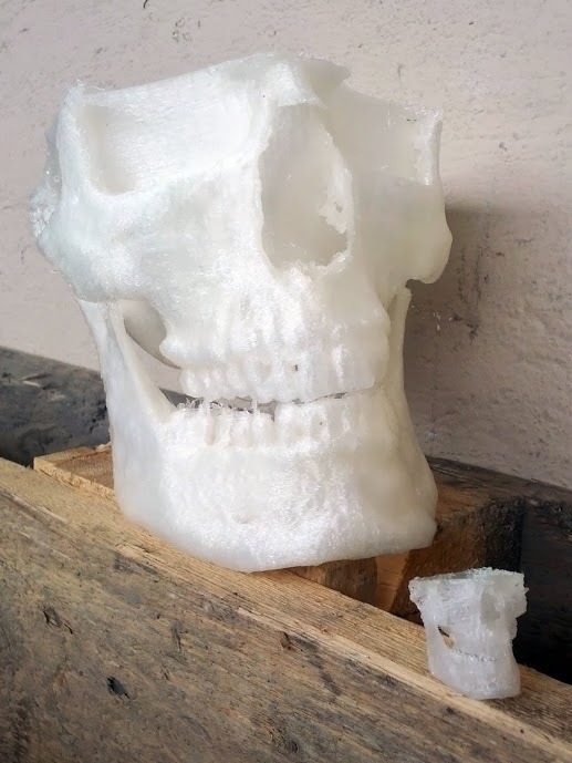 skull candy dish