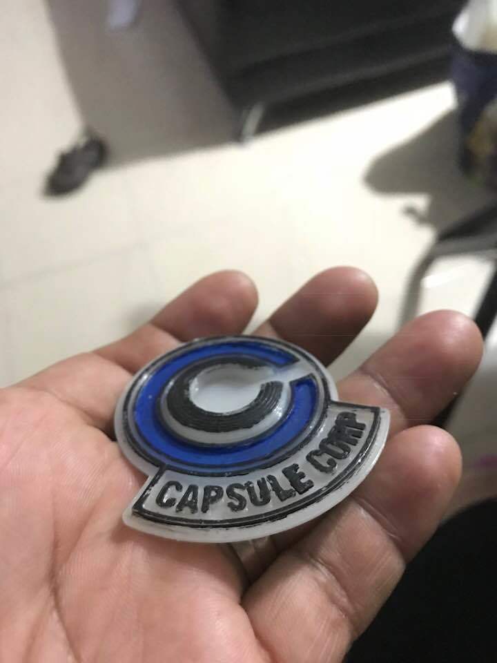  corp capsule
