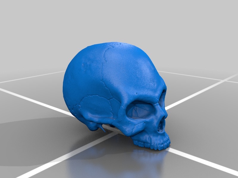 Half Skull