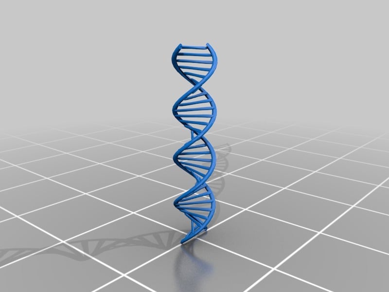 DNA (Autodesk & .stl file)