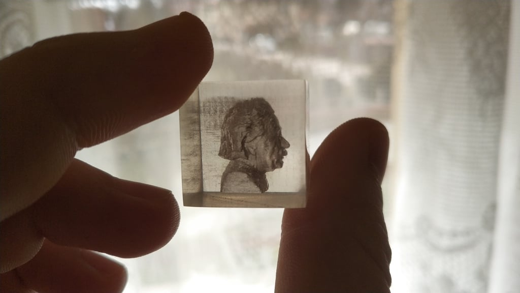 Embedded Albert Einstein Bust - Transparent 3D Print