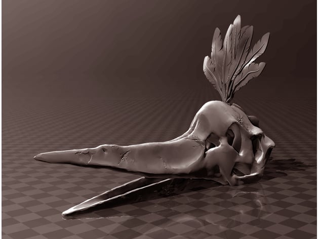 Pteranodon Skull