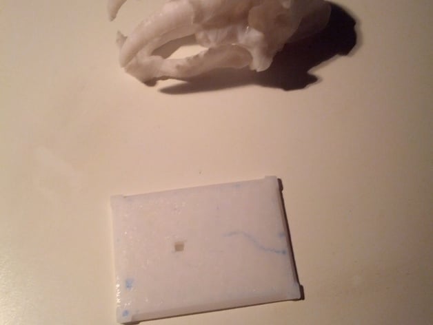 Improoved Printability Base - Saber-Toothed Cat Skull