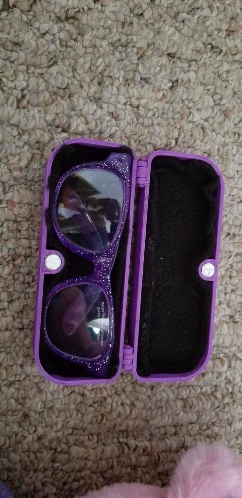 Build-a-bear glasses case