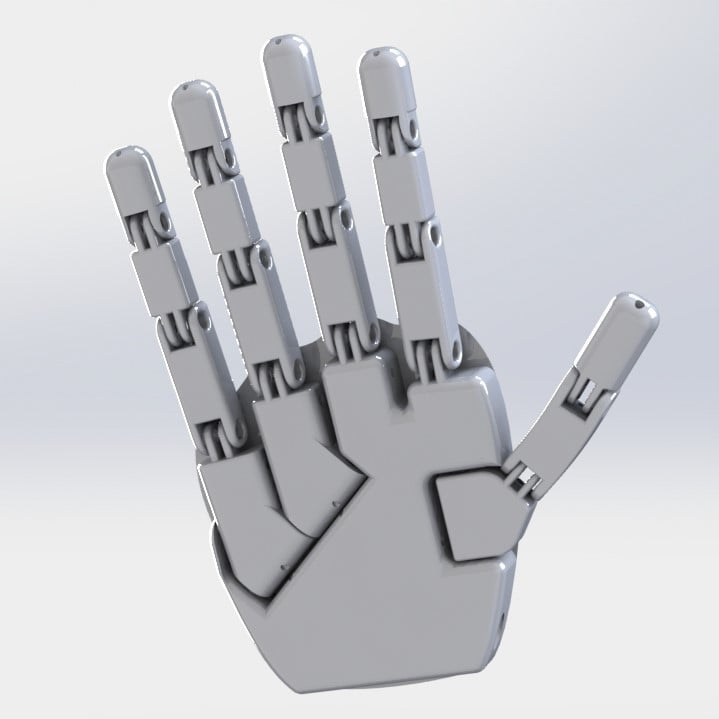 Customizable Robotic hand