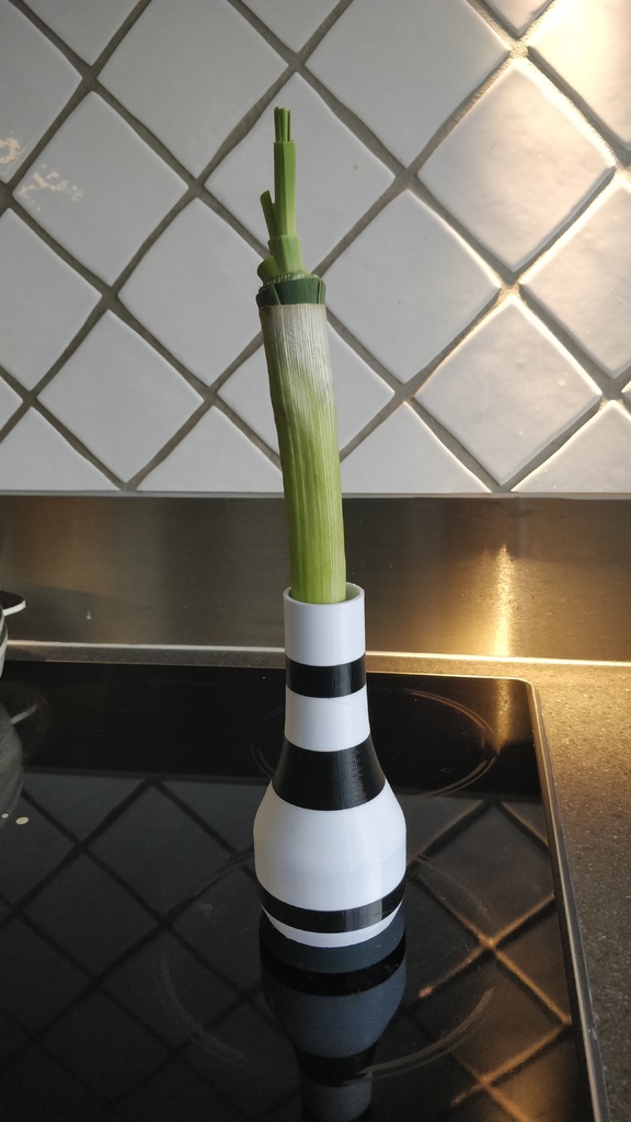 Vase with a leek