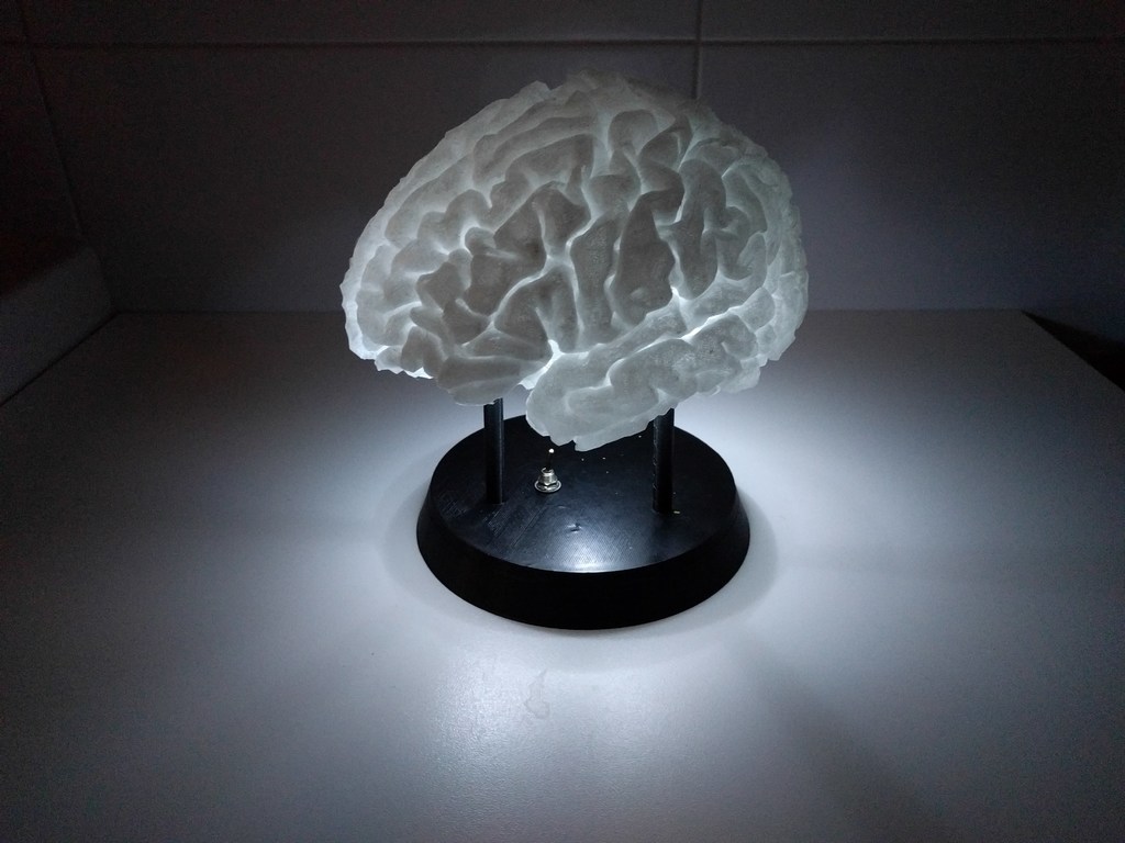 LED-Lit Brain with battery holder