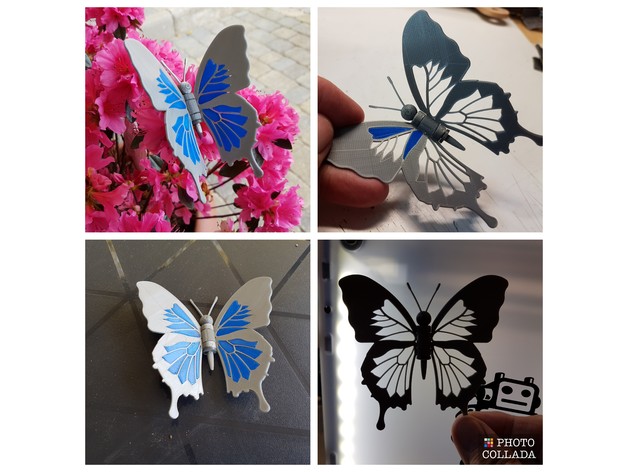 Blue Butterfly - Papillon bleu