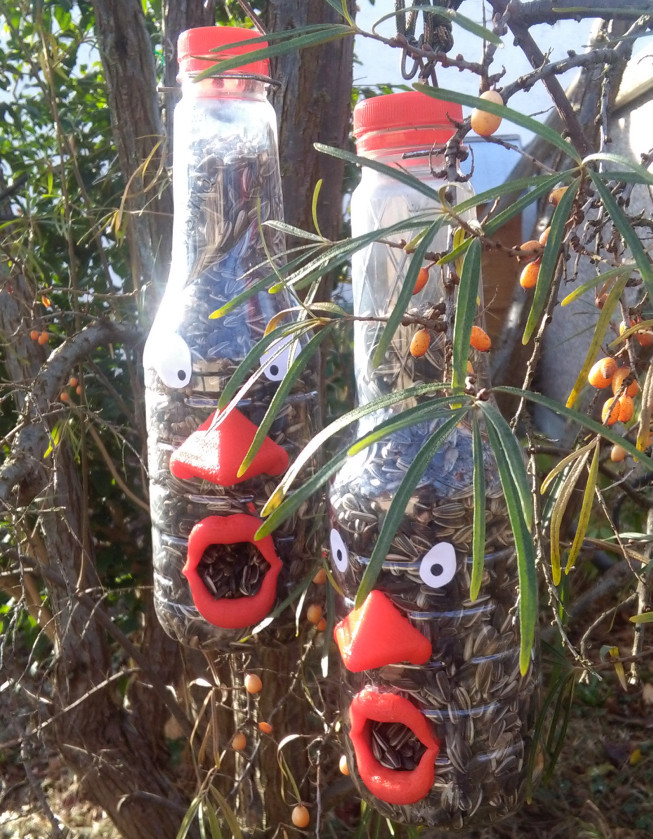 Bird feeder bottle