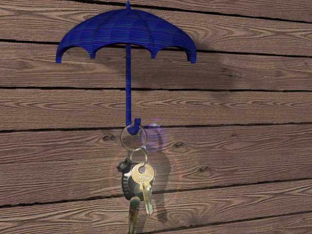 umbrella for your keys