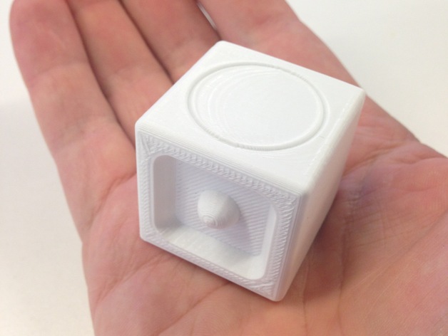 Polaroid Cube Fit Test Model