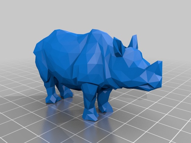 Rhino Geometric