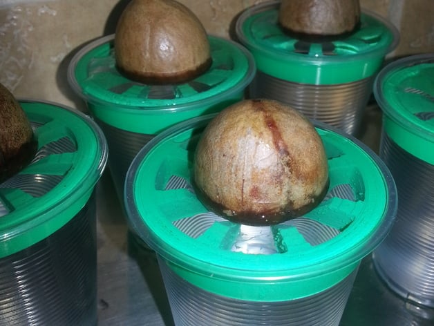 3D Print Avocado Pit Germination Holder Cup Edition