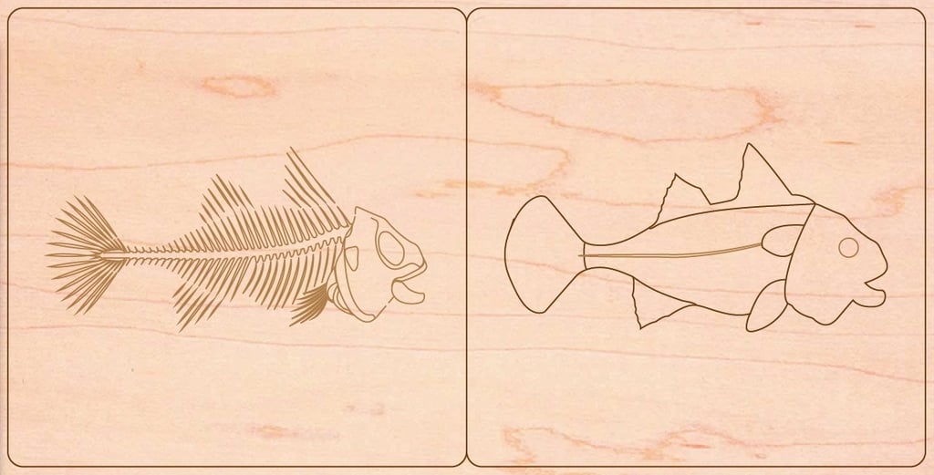 Fish zoology animal puzzle montessori for laser cut