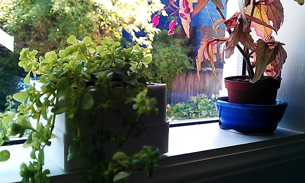 Parametric windowsill planter with reservoir