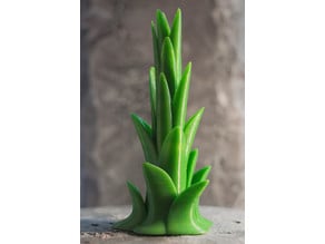 Tabletop plant: Tree Agave