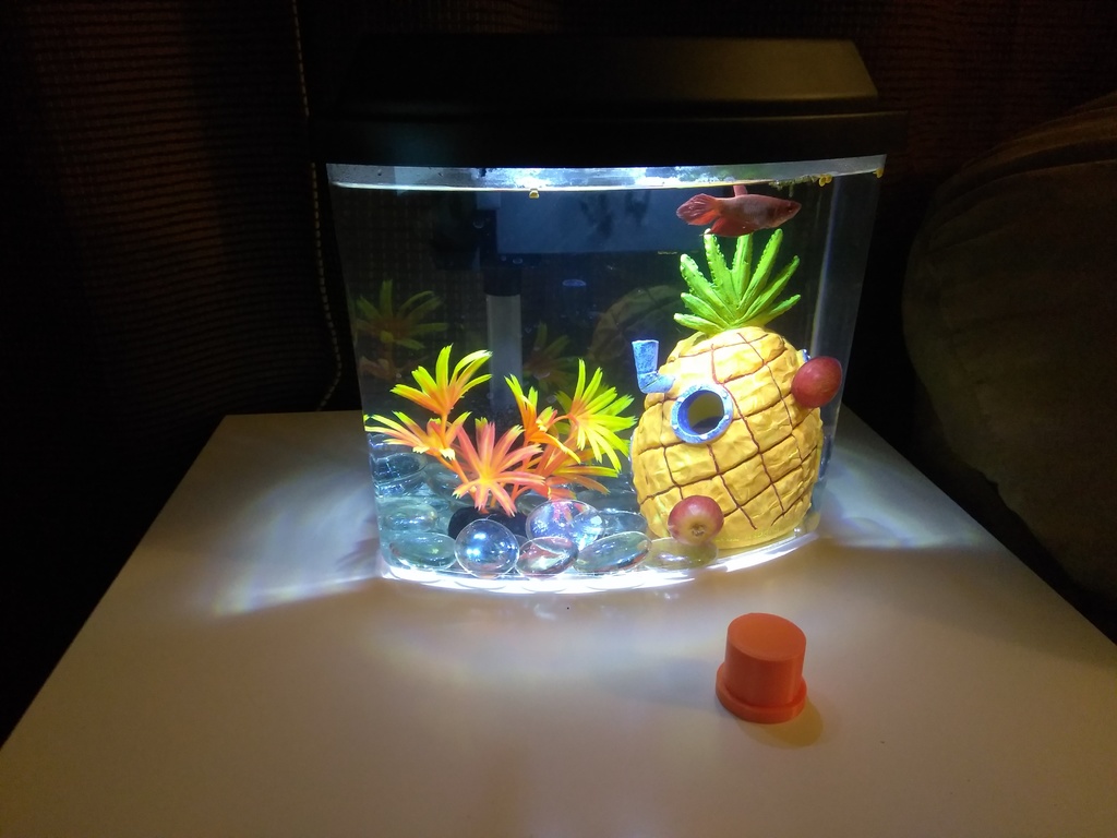 Fish Tank Plug (National geographic Half moon aquarium)