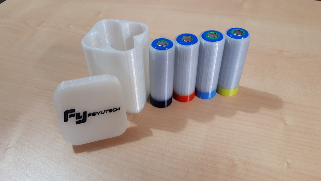 Case for four 22650 Li-Ion Battery - FeiyuTech Edition