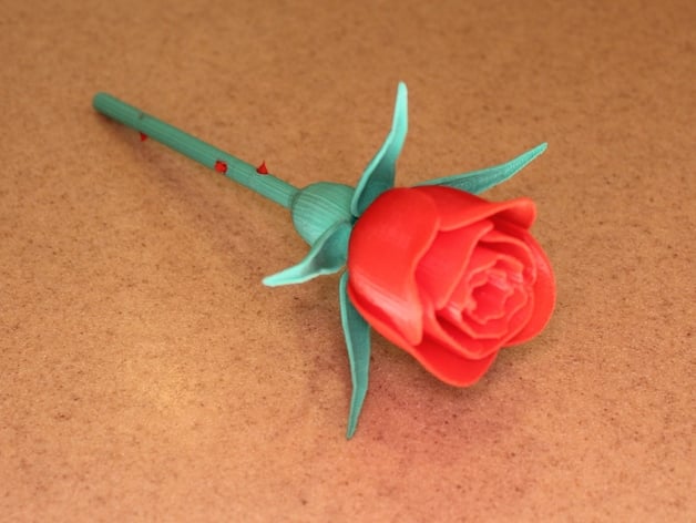 Rose with Stem & Thorns & Sepals & Hip for Valentine's Day