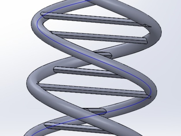 DNA MODEL
