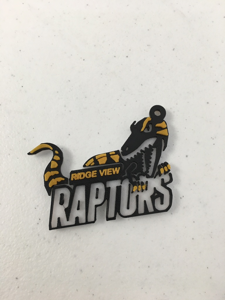 Ridge View Raptor Logo