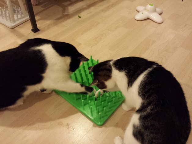 Cat Toy - play board