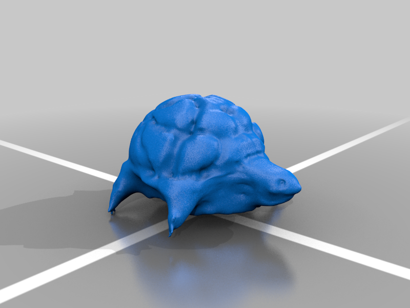 Turtle model