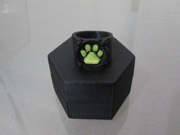 Chat Noir's Ring