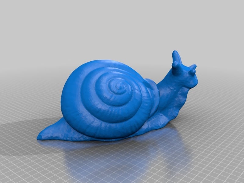 Snail (with flat bottom)