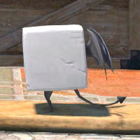 terrabruder